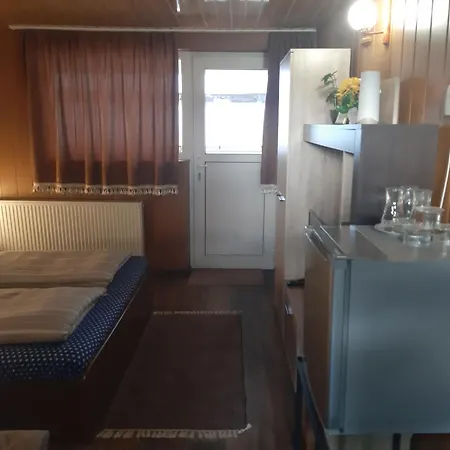 Guest house Pensiunea Vasilescu
