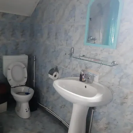 Pensiunea Vasilescu 2*
