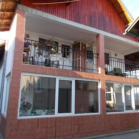 Pensiunea Vasilescu 2*