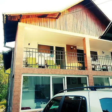 Guest house Pensiunea Vasilescu