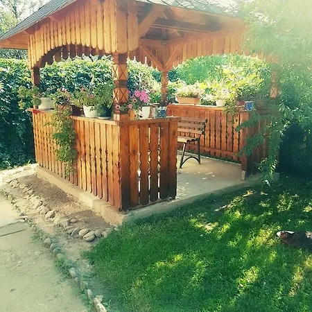 Pensiunea Vasilescu 2*