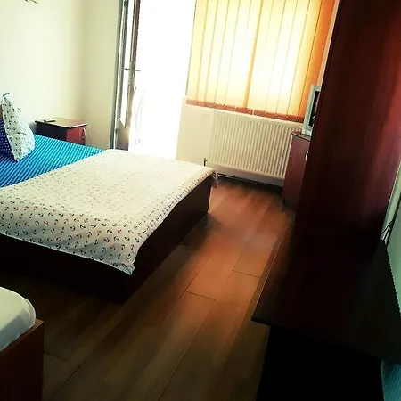 Guest house Pensiunea Vasilescu 2*