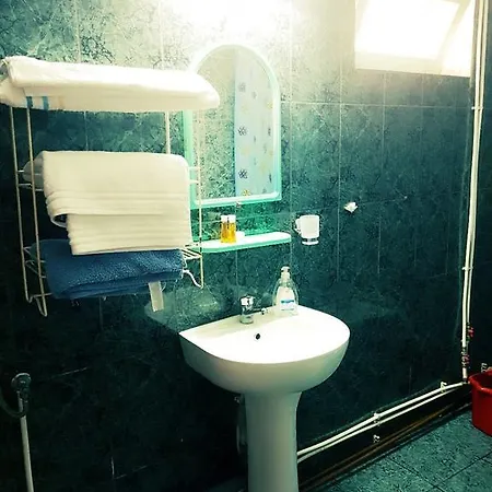 Guest house Pensiunea Vasilescu