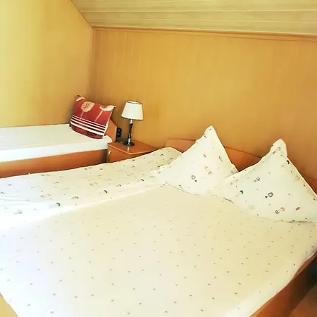 Pensiunea Vasilescu 2* Horezu